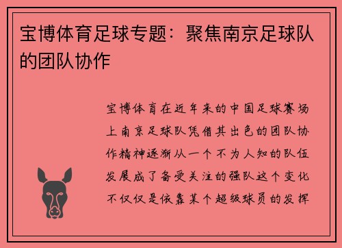 宝博体育足球专题：聚焦南京足球队的团队协作