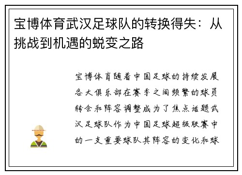 宝博体育武汉足球队的转换得失：从挑战到机遇的蜕变之路